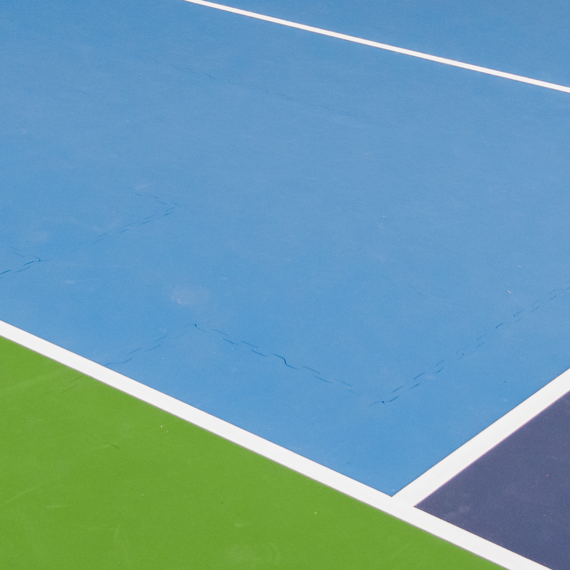 Pickle Flex Pro Pickleball Court